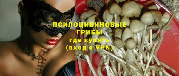 тгк Пестово