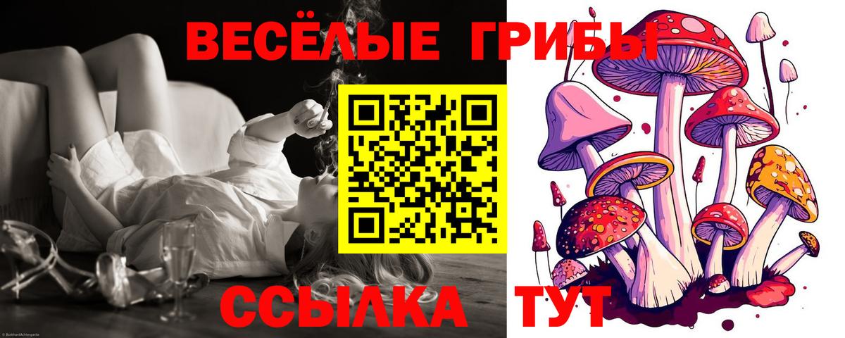 Галлюциногенные грибы прущие грибы  Вход с VPN  Тавда  Псилоцибиновые грибы MAGIC MUSHROOMS 