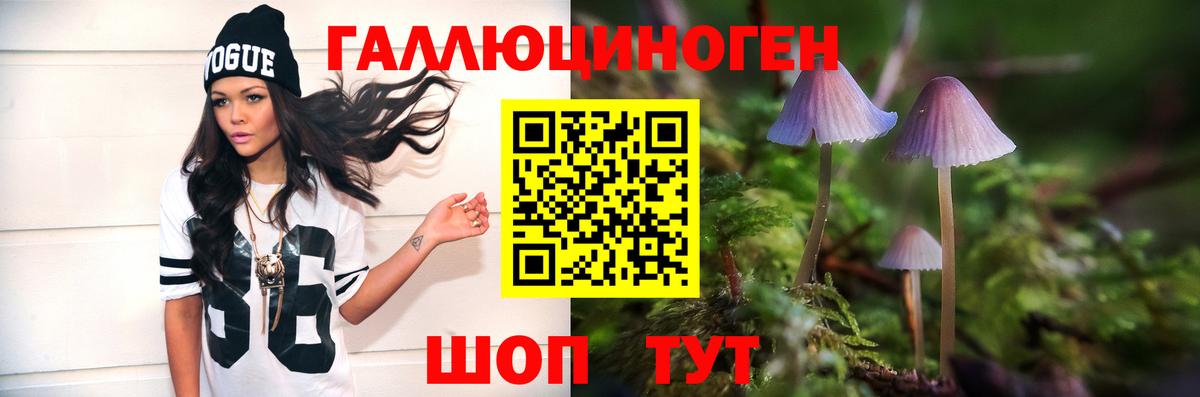 Псилоцибиновые грибы мухоморы Тавда